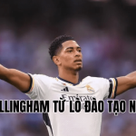 Bellingham Từ Lò Đào Tạo Nào