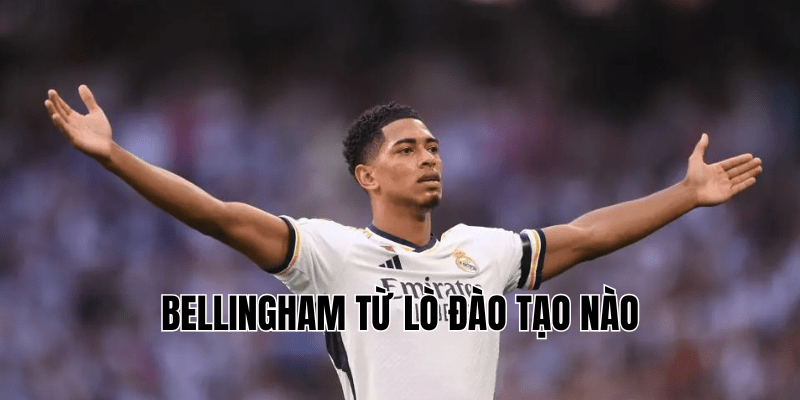 Bellingham Từ Lò Đào Tạo Nào