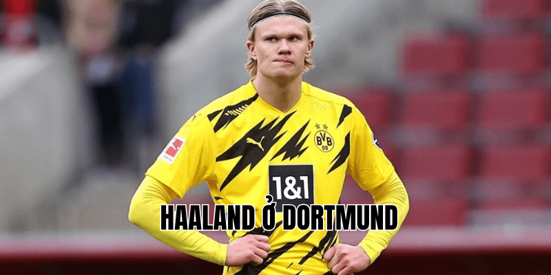 Haaland Ở Dortmund