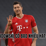 Lewandowski Ghi Bao Nhiêu Hat-Trick
